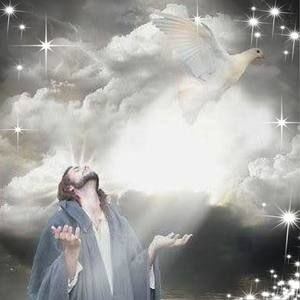 Meet your Posher, Pasquale- pat